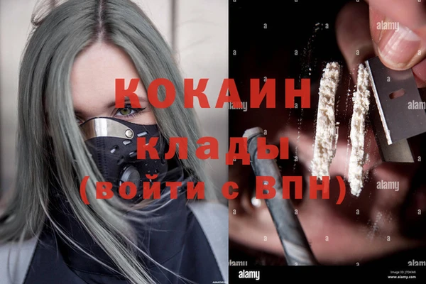 мяу мяу мука Абаза