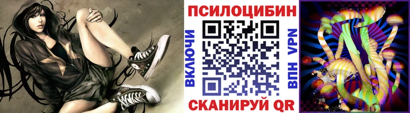 купить наркотик  Абдулино  Псилоцибиновые грибы прущие грибы 